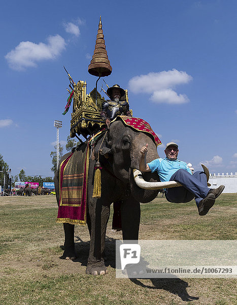 Kriegselefant nimmt Tourist auf die Stoßzähne,  Elefantenfest,  Elephant Round Up,  Surin,  Provinz Surin,  Isan,  Isaan,  Thailand,  Asien