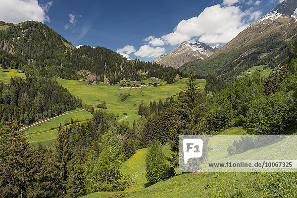 Gebirgslandschaft mit Bauernhäusern  bei Prägraten am Großvenediger  Virgental  Osttirol  Österreich  Europa