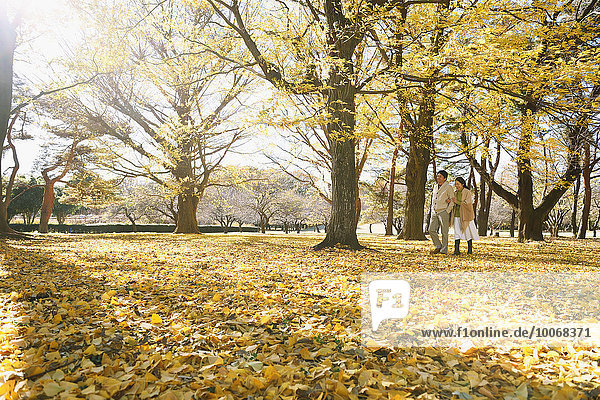 Senior Japanese couple in a city park in Autumn