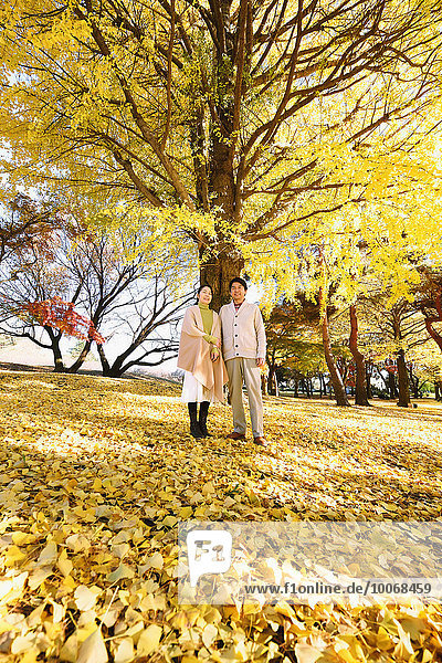 Senior Senioren Großstadt Herbst japanisch