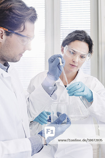 Wissenschaftlerinnen und Wissenschaftler bei der Untersuchung von Proben im Labor