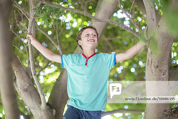 Low angle view of Caucasian boy climbing tree