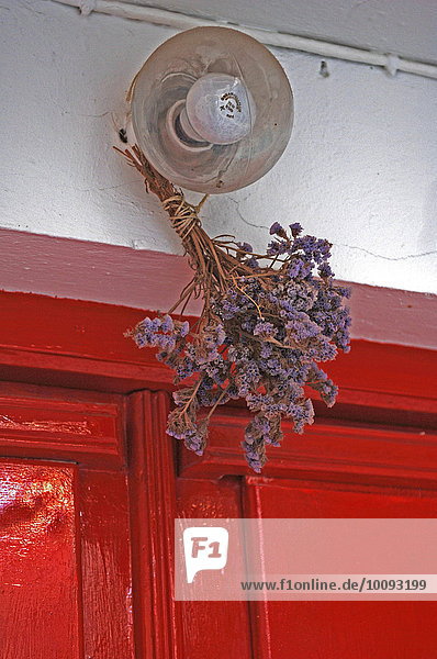 Blume hängen Lampe getrocknet