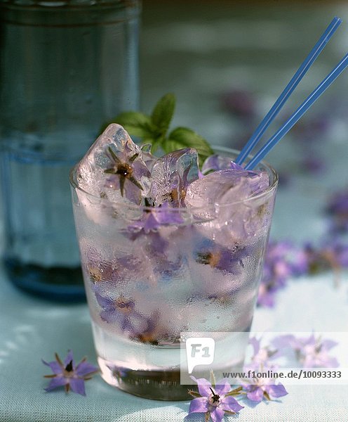 Sommerdrink mit Borretsch-Blüten
