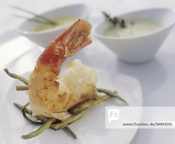 Shrimp