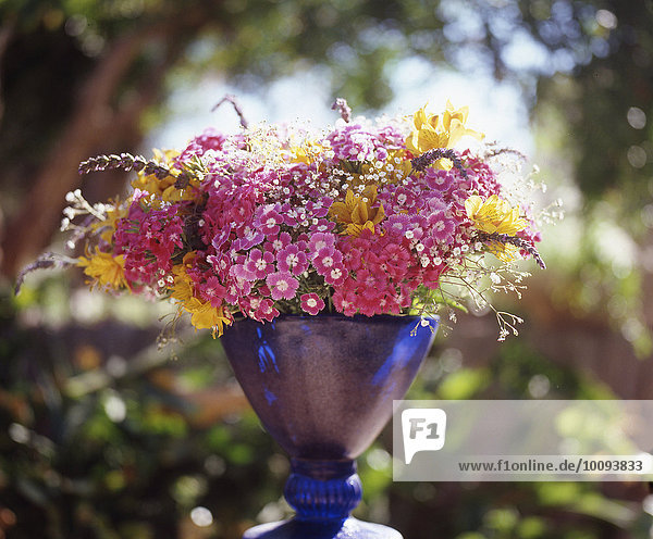 Sommerblumenstrauß mit Bartnelken