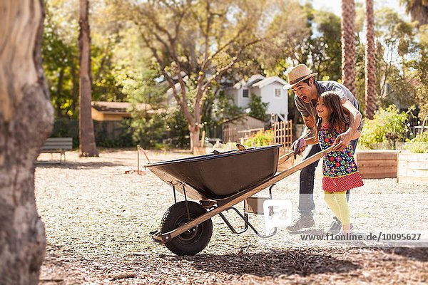 Mid adult man and daughter in community garden pushing wheelbarrow