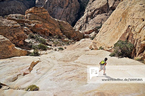 Junge Wanderin auf Felsen  Mount Wilson  Nevada  USA