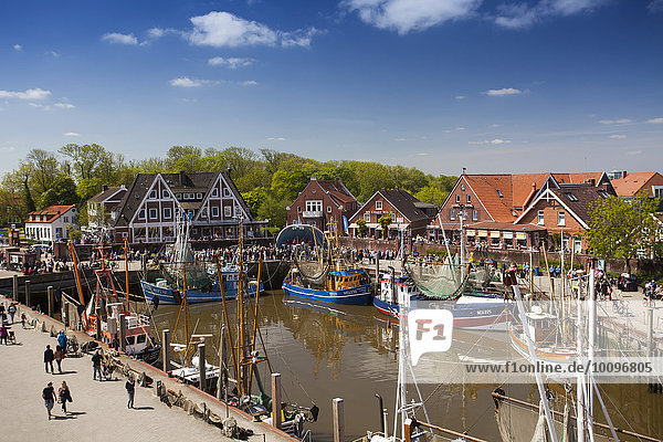 Shrimp boats in the port of Neuharlingersiel  East Frisia  Lower Saxony  Germany  Europe