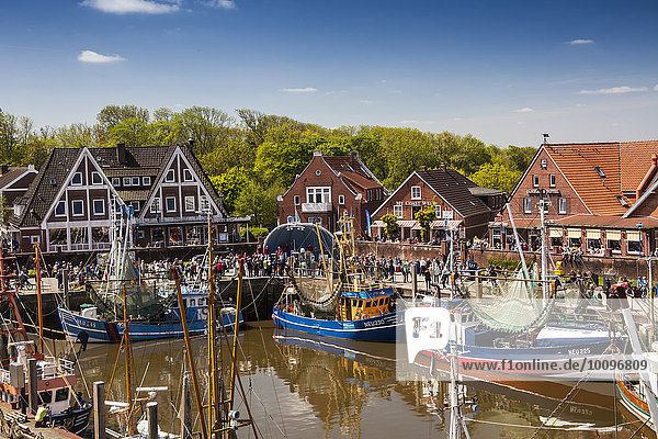 Shrimp boats in the port of Neuharlingersiel  East Frisia  Lower Saxony  Germany  Europe