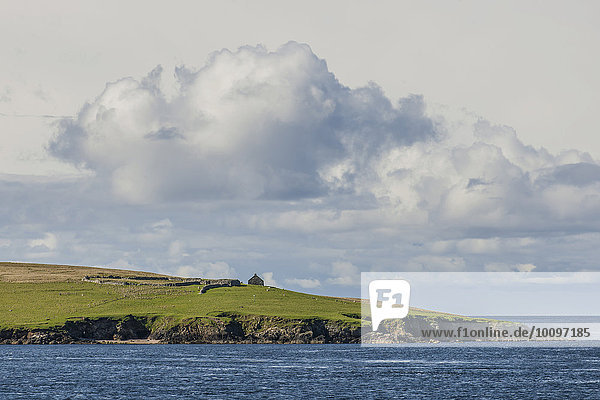 Küstenlandschaft  Yell  Shetland-Inseln  Schottland  Großbritannien  Europa