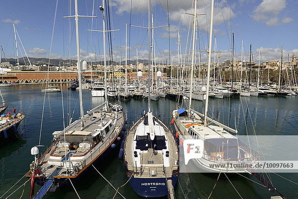 Hafen  Palma de Mallorca  Mallorca  Balearen  Spanien  Europa