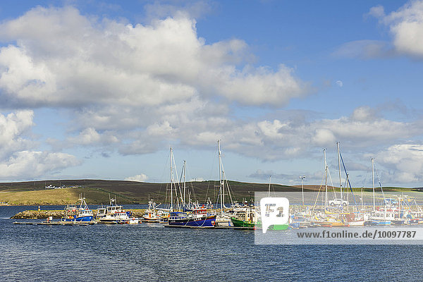 Yachthafen und Fischereihafen  Lerwick  Mainland  Shetland-Inseln  Schottland  Großbritannien  Europa