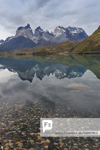 Cuernos del Paine reflecting in Lago Pehoe  Torres del Paine National Park  Chilean Patagonia  Chile  South America