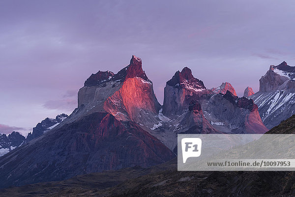 Cuernos del Paine in the morning  Torres del Paine National Park  Chilean Patagonia  Chile  South America