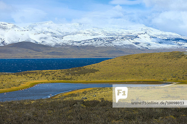 Landschaft im Nationalpark Torres del Paine  Patagonien  Chile  Südamerika