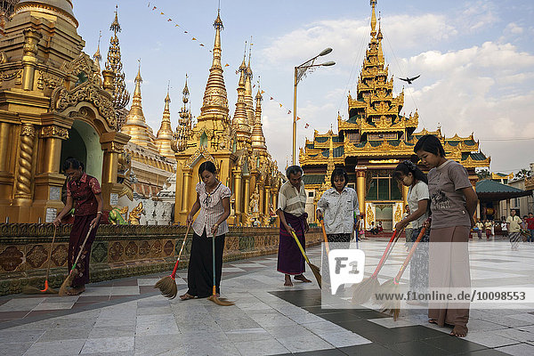 Frauen kehren den Boden auf dem Gelände der Shwedagon-Pagode  Yangon  Myanmar  Asien