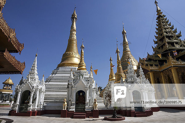 Tempel und Schreine  Shwedagon-Pagode  Yangon  Myanmar  Asien