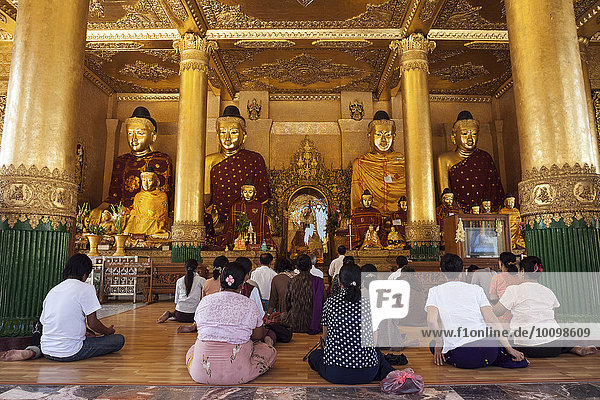 Menschen meditieren vor Buddha-Statuen im Kakusandha Tempel  Shwedagon-Pagode  Yangon  Myanmar  Asien