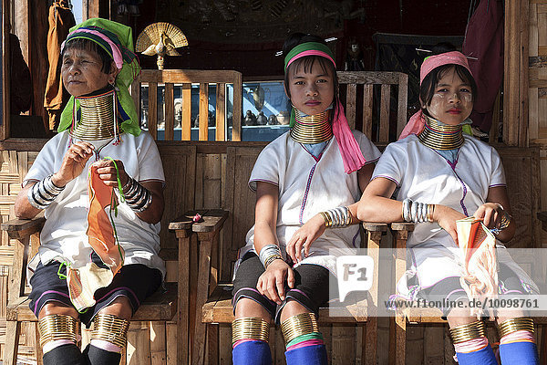 Women of the ethnic group of Padaung with necklaces and traditional dress  near Ywa-ma  Shan State  Myanmar  Asia