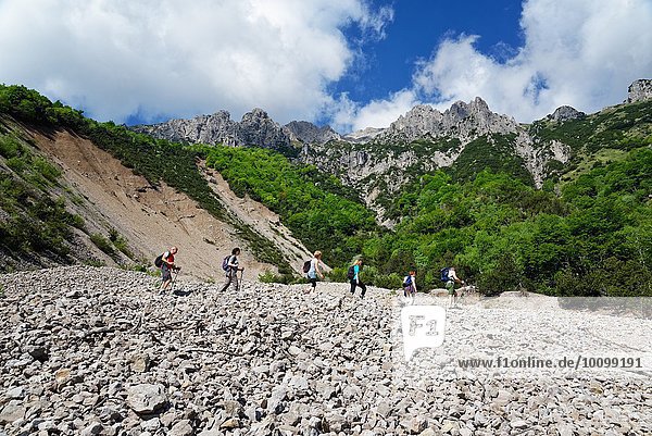 Fünf reife Wanderer wandern im Tal  Grigna  Lecco  Lombardei  Italien