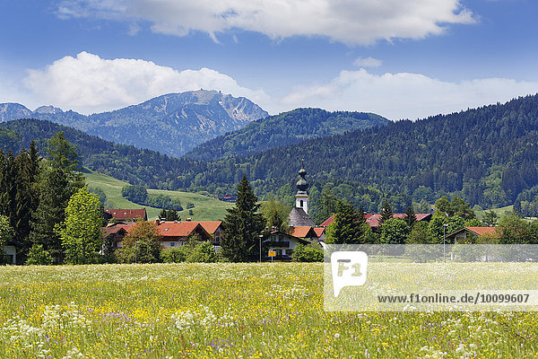 Ortsansicht  hinten der Hochfelln  Chiemgauer Alpen  Inzell  Chiemgau  Oberbayern  Bayern  Deutschland  Europa