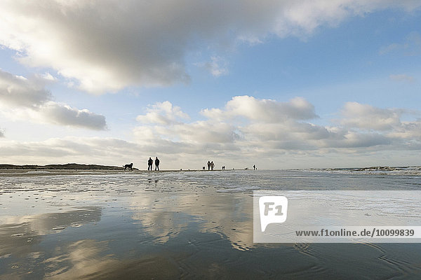 Spaziergänger am Strand der Nordseeinsel,  Langeoog,  Niedersachsen,  Deutschland,  Europa