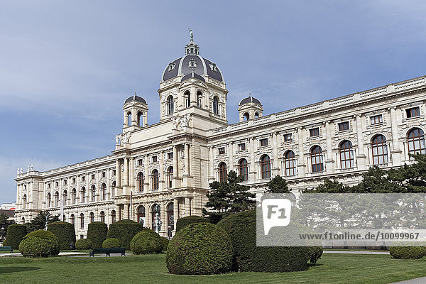 Naturhistorisches Museum  Wien  Österreich  Europa