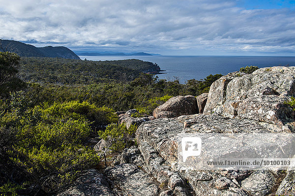 Ausblick von Cape Tourville über den Tasman-Nationalpark  Tasmanien  Australien  Ozeanien