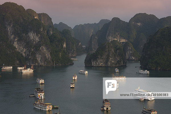 Junks and boats moored in Halong Bay or Vinh Ha Long  limestone cliffs  UNESCO World Heritage Site  Gulf of Tonkin  North Vietnam  Vietnam  Asia
