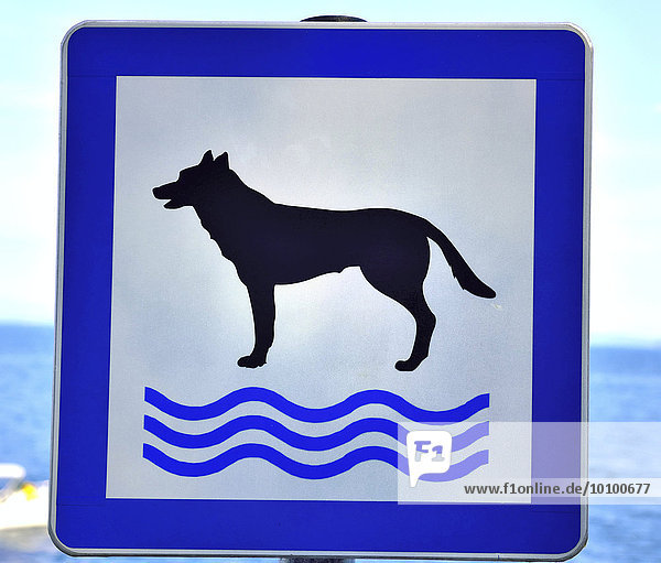 Hinweisschild Badeplatz für Hunde  Moscenicka Draga  Gespannschaft Primorje-Gorski kotar  Kvarner Bucht  Istrien  Kroatien  Europa