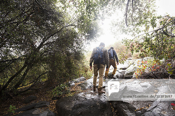 Two young men carrying backpacks hiking.