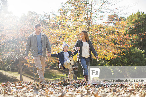 Family holding hands and walking in autumn leaves