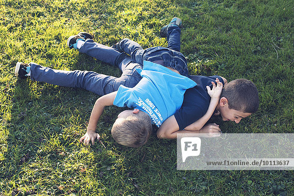 Young brothers playing together on lawn