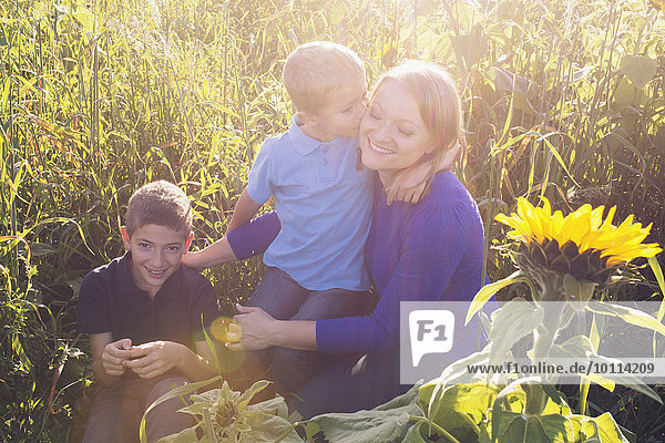 Mutter und junge Söhne verbringen gemeinsam Zeit auf dem Feld der Sonnenblumen.