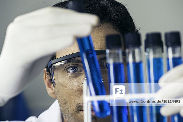 Forscher untersuchen Reagenzgläser im Labor