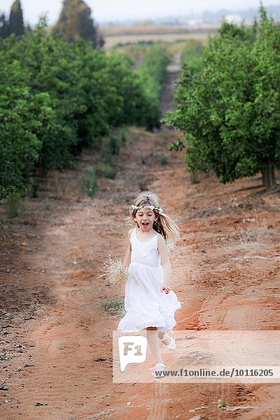 Junges Mädchen im Obstgarten  Israel