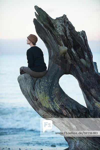 Frau sitzt am Strand und schaut aus dem großen Treibholzbaumstamm.