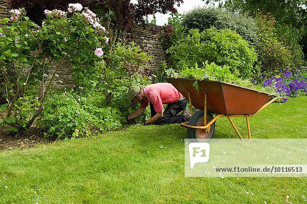 Gärtner bei der Arbeit im Garten