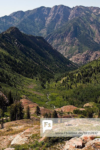 Berge Big Cottonwood Canyon Salt Lake City Utah