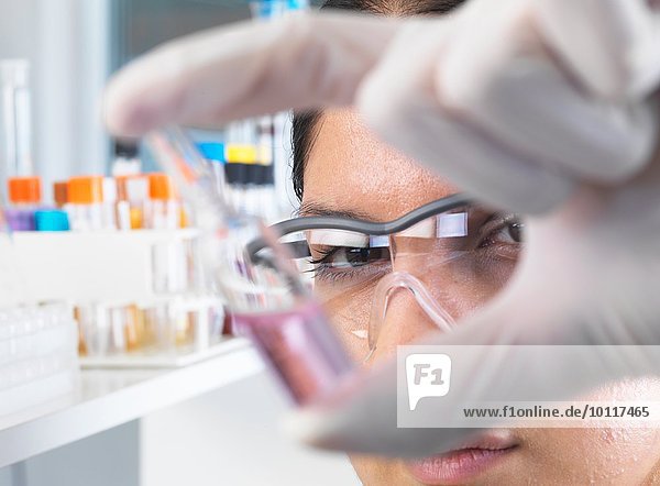 Nahaufnahme einer Wissenschaftlerin  die im Labor eine Medikamentenampulle testet.
