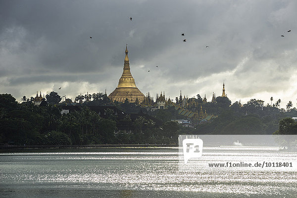 Myanmar Asien Chedi Shwedagon Pagode