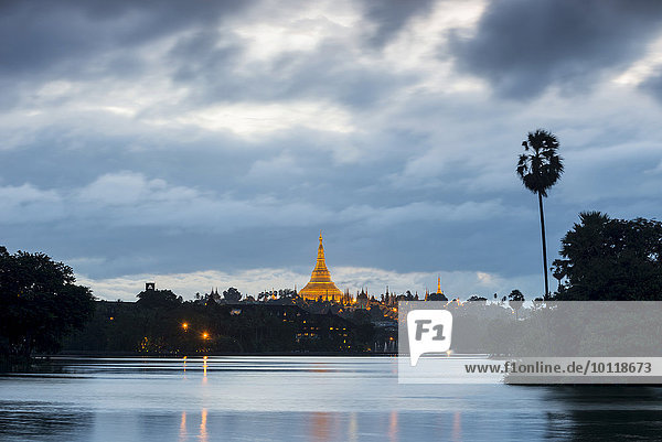 Golden main stupa at dusk chedi Shwedagon Pagoda Kandawgyi Lake Kandawgyi Nature Park Yangon or Rangoon Yangon Region Myanmar Asia