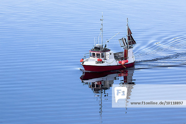 Fischerboot mit Spiegelung am Sildpollen  Austnesfjorden  Vågan  Vagan  Austvagöya  Austvågøya  Lofoten  Nordland  Nord-Norge?  Norwegen  Europa