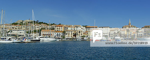 Altstadt mit Hafen von Calvi  Département Haute-Corse  Korsika  Frankreich  Europa