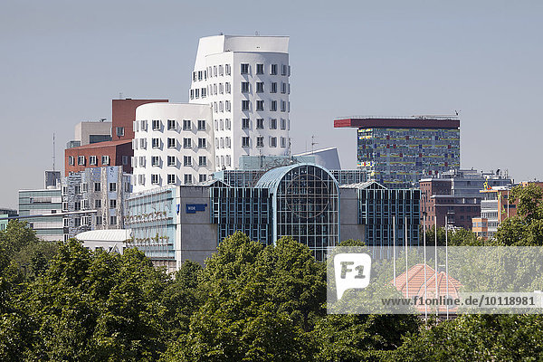 Medienhafen with buildings by the architect Frank O. Gehry  Düsseldorf  Rhineland  North Rhine-Westphalia  Germany  Europe