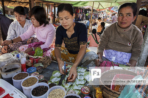 Einheimische Frauen verkaufen Betelnüsse  Land-Markt in Maing Thauk  Inle-See  Shan-Staat  Myanmar  Asien