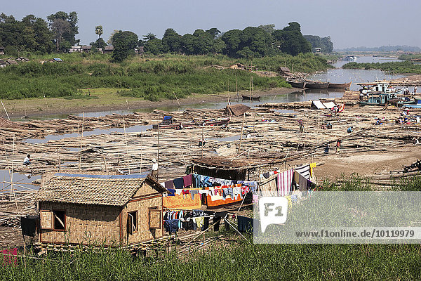 Leben am Fluss  viele Bambusflöße liegen nebeneinander auf dem Fluß Irrawaddy  auch Ayeyarwaddy genannt  Mandalay  Division Mandalay  Myanmar  Asien