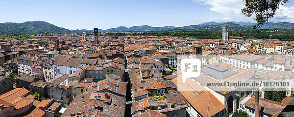 View of Lucca from Torre Guingi  Lucca  Tuscany  Italy  Europe