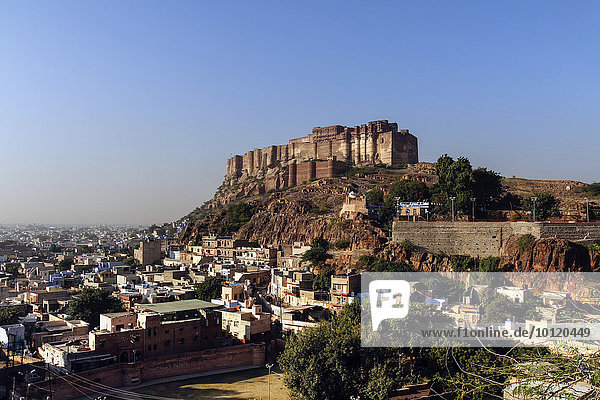 Mehrangarh Festung oder Fort Meherangarh auf dem Hügel  blaue Stadt  Jodhpur  Rajasthan  Indien  Asien
